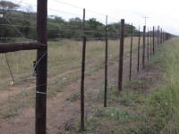 Building-and-Fencing-Poles-Gallery1
