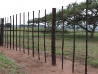 Building-and-Fencing-Poles-Gallery2