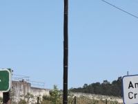 Telephone-Poles-Gallery1